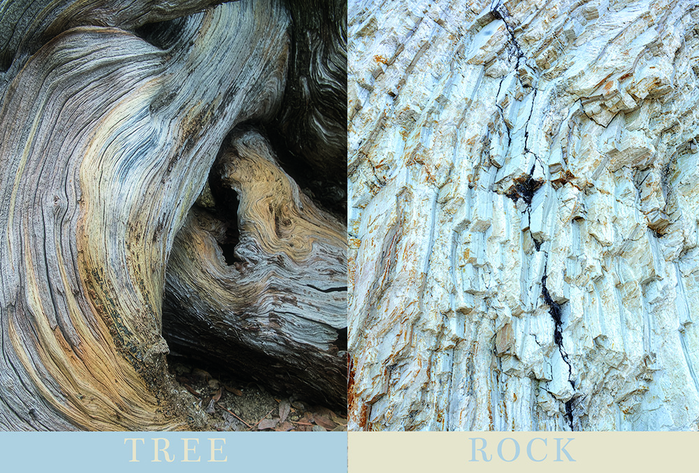 Copyright © 2025 Patricia Koren