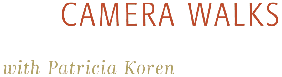 Camera Walks with Patricia Koren